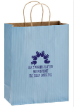 Matte Colored Custom Shopper Bags 8 x 10 in Country Blue