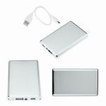 Silver power bank