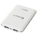 White Dual Port Power Bank